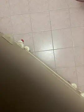 D4n13l47 webcam