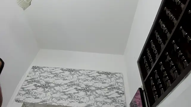 DilanAndKing webcam