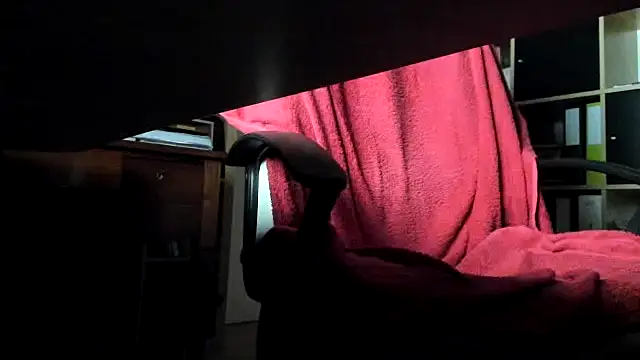 leccaleccafiga webcam