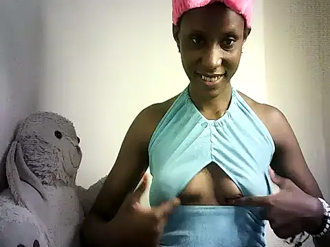 DelteAfriq webcam