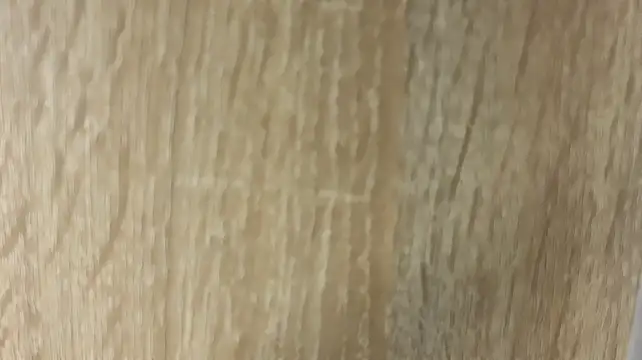 NoFace_Model webcam