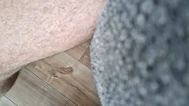 Frankdick01 webcam