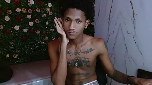 ManSant webcam