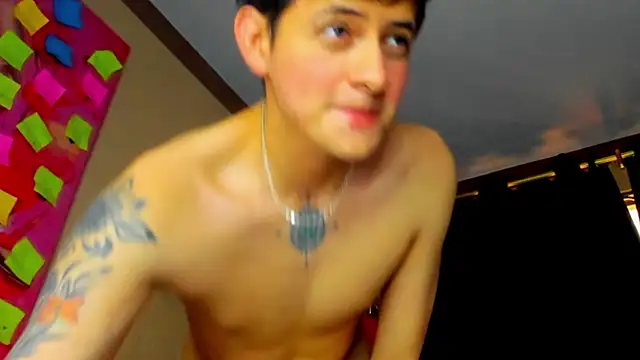 BastianLeoniis webcam