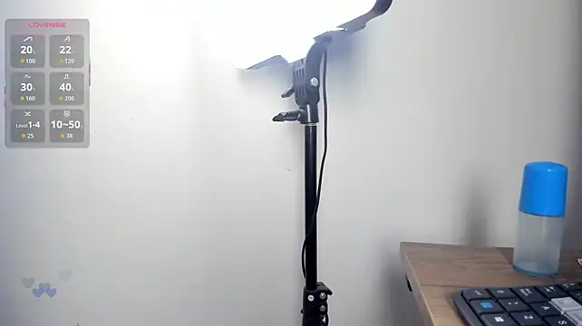 LittleParker webcam