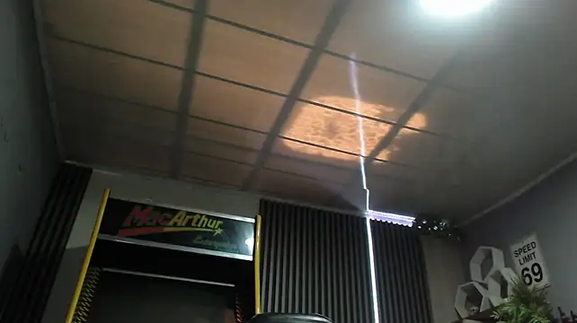 Bastian_MCcormick webcam