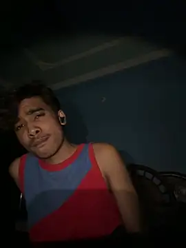 aryushh webcam