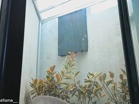 Venus_flame1 webcam