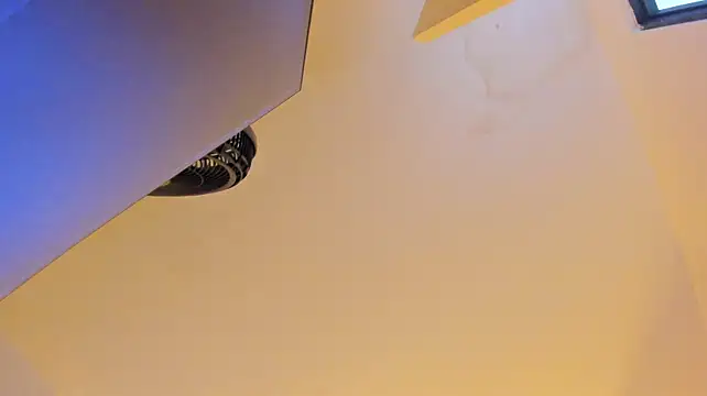 EmilyHanks_ webcam