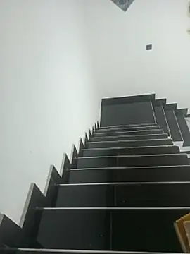ParlousCarpet webcam