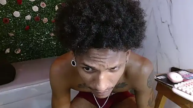 ManSant webcam
