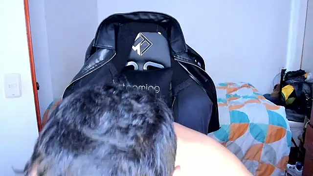 Tommy_Bred webcam