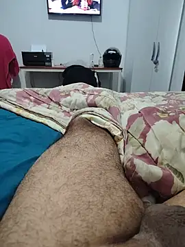 Willdpo webcam