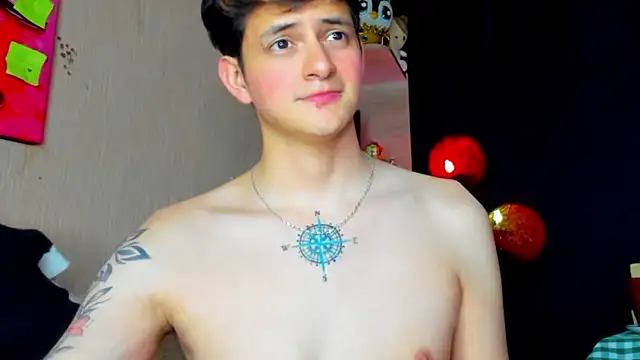 BastianLeoniis webcam