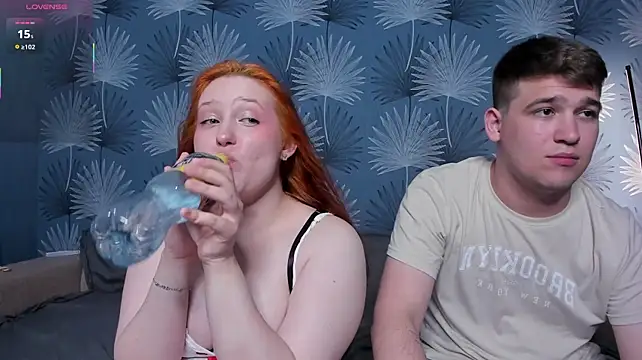couple_of_kittens_ webcam
