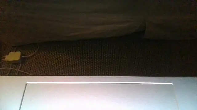Boddman webcam