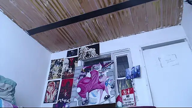 Cortana2_0 webcam