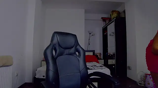 DedeSibel webcam