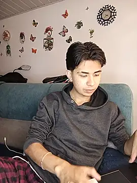 Nicolas_moon webcam