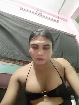Twinkleroy webcam