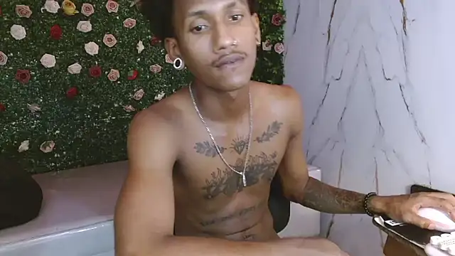 ManSant webcam
