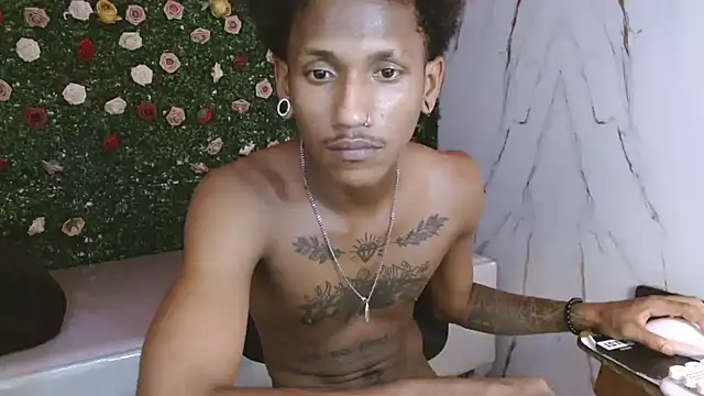 ManSant webcam