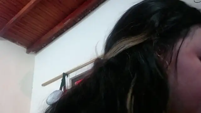 mailer_parsonss webcam