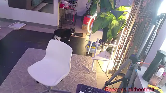 theetriniti webcam