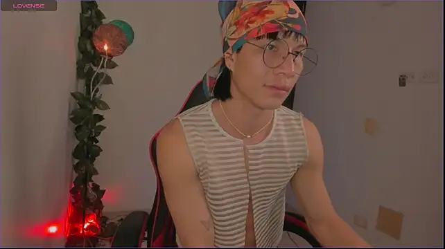 odelei webcam