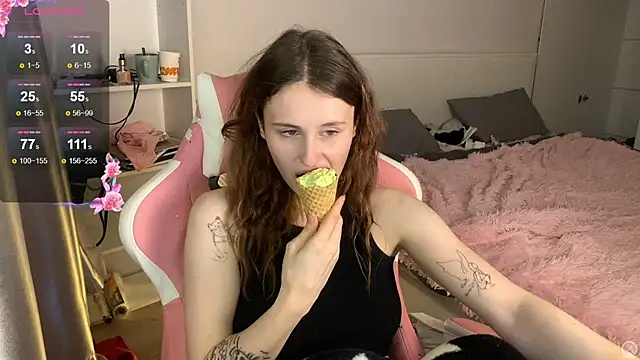 NessBarre webcam