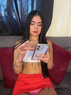 Dakota-fire webcam