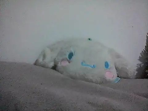 PimientaLimon webcam