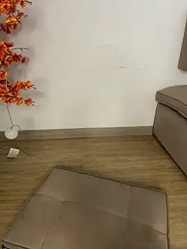 VictoriaHiill webcam