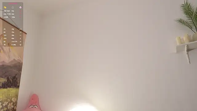 imadri webcam
