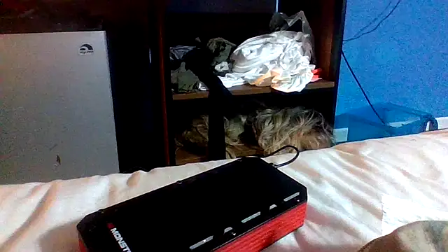 Dicksee_Left webcam