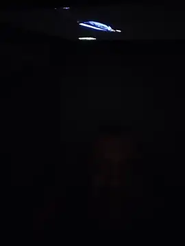 panda_06200 webcam