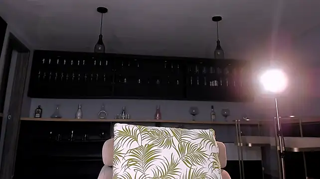 KyomiVelvet webcam