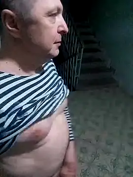 Pokaz2020 webcam