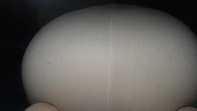 prettyangelsquirt webcam