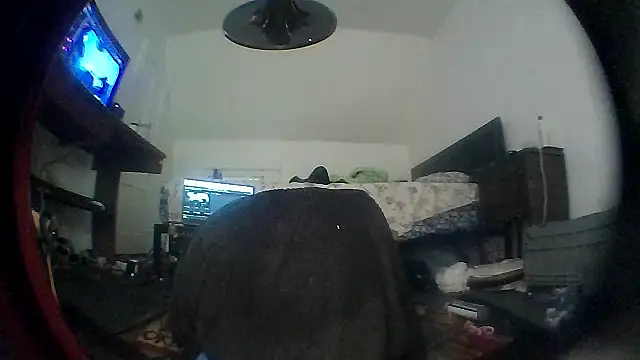 hardkoregigi webcam
