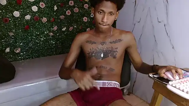 ManSant webcam