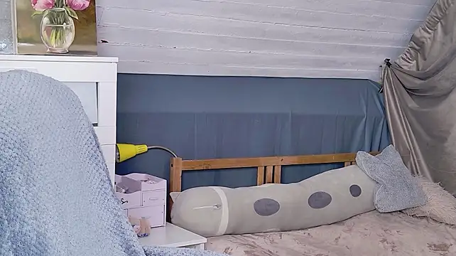 Lunavira webcam