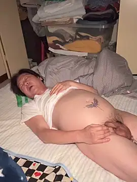 SaneService9 webcam