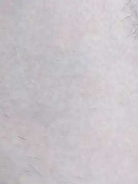 raj_desi16