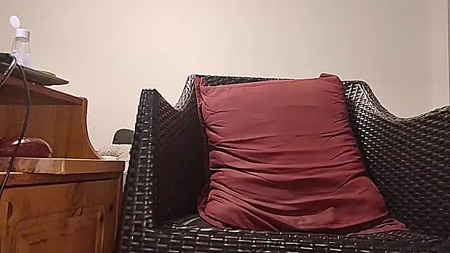 Tyyson03 webcam