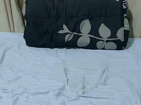 leestyline webcam
