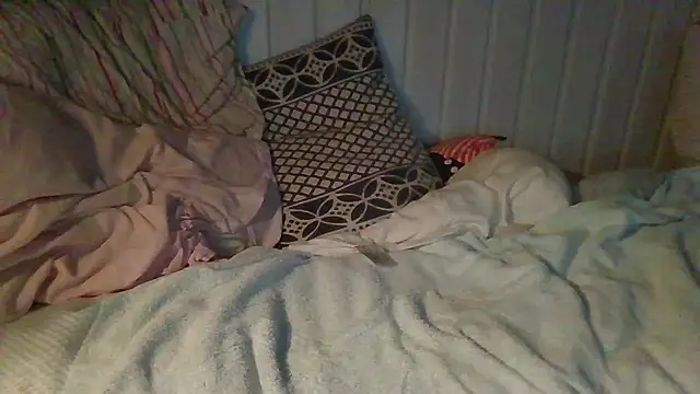 Stock-Holmes webcam