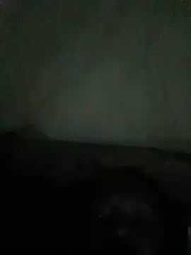 Lluunnaalliigghhtt webcam