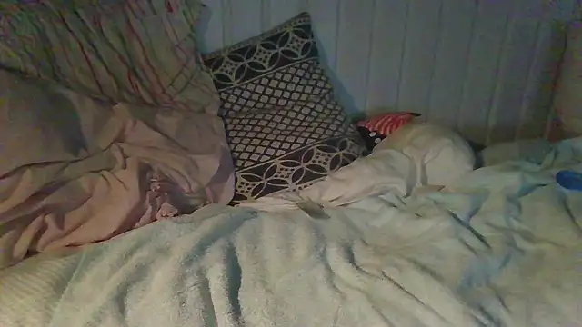 Stock-Holmes webcam