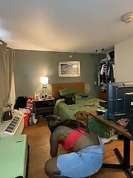 Tattedupdek webcam